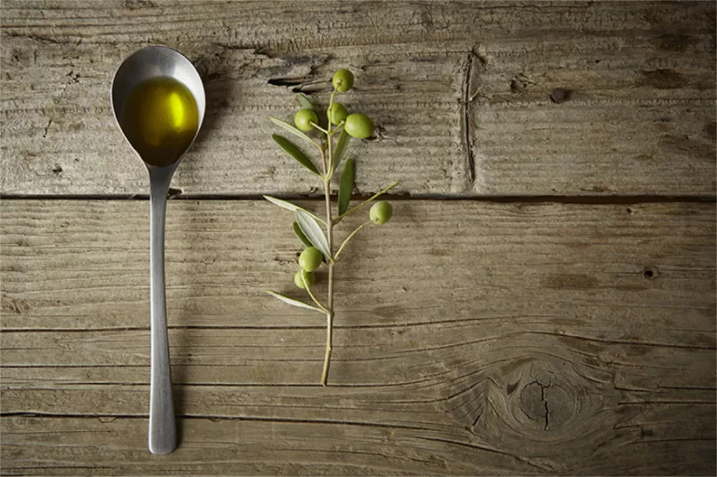 Green olive branch and a spoon full of oil on the wooden table